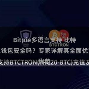 Bitpie多语言支持 比特派钱包安全吗？专家详解其全面优势