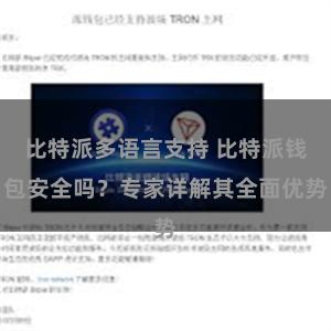 比特派多语言支持 比特派钱包安全吗？专家详解其全面优势