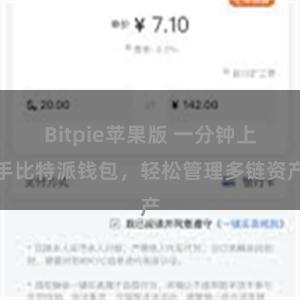 Bitpie苹果版 一分钟上手比特派钱包，轻松管理多链资产