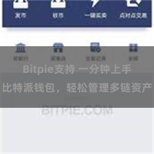 Bitpie支持 一分钟上手比特派钱包，轻松管理多链资产