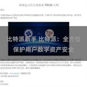 比特派新手 比特派：全方位保护用户数字资产安全