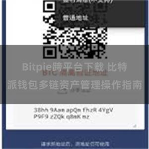 Bitpie跨平台下载 比特派钱包多链资产管理操作指南