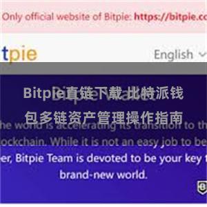 Bitpie直链下载 比特派钱包多链资产管理操作指南