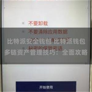 比特派安全钱包 比特派钱包多链资产管理技巧：全面攻略