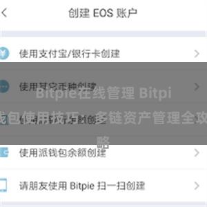 Bitpie在线管理 Bitpie钱包使用技巧：多链资产管理全攻略