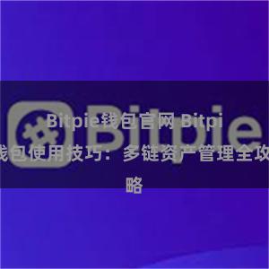 Bitpie钱包官网 Bitpie钱包使用技巧：多链资产管理全攻略