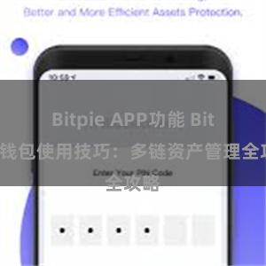 Bitpie APP功能 Bitpie钱包使用技巧：多链资产管理全攻略