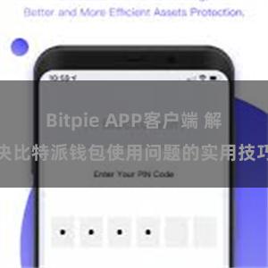 Bitpie APP客户端 解决比特派钱包使用问题的实用技巧