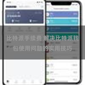 比特派手续费 解决比特派钱包使用问题的实用技巧