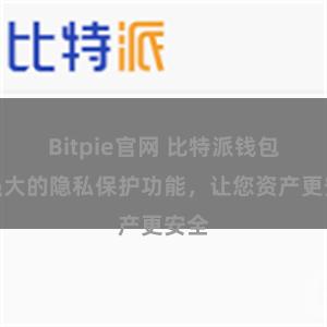 Bitpie官网 比特派钱包：强大的隐私保护功能，让您资产更安全