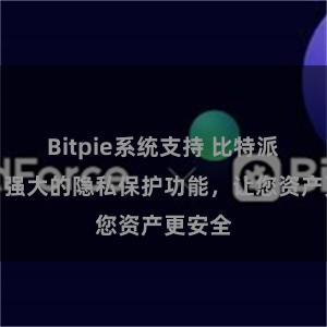 Bitpie系统支持 比特派钱包：强大的隐私保护功能，让您资产更安全