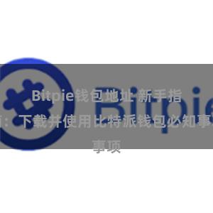 Bitpie钱包地址 新手指南：下载并使用比特派钱包必知事项