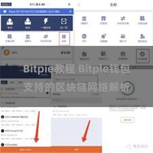 Bitpie教程 Bitpie钱包支持的区块链网络解析