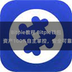 Bitpie教程 Bitpie钱包：资产100%自主掌控，安全可靠。