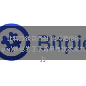 比特派钱包备份 比特派(Bitpie)钱包的团队背景与技术实力