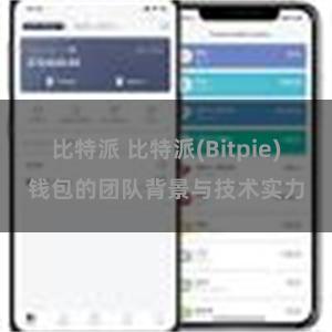 比特派 比特派(Bitpie)钱包的团队背景与技术实力