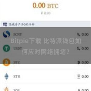 Bitpie下载 比特派钱包如何应对网络拥堵？