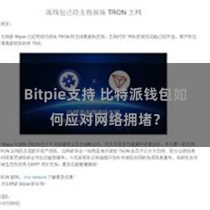 Bitpie支持 比特派钱包如何应对网络拥堵？