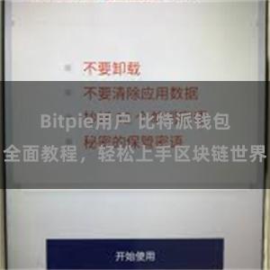 Bitpie用户 比特派钱包全面教程,轻松上手区块链世界