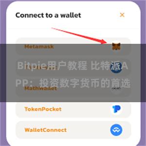 Bitpie用户教程 比特派APP：投资数字货币的首选