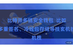 比特派多链安全钱包  比如多重签名、冷钱包存储等技玄机技
