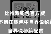 比特派钱包官方版  用户不错在钱包中自界说秘籍配置