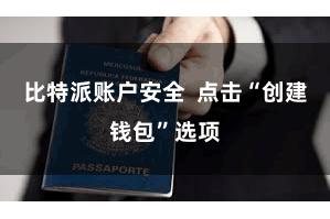 比特派账户安全  点击“创建钱包”选项