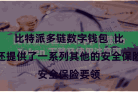 比特派多链数字钱包  比特派还提供了一系列其他的安全保险要领