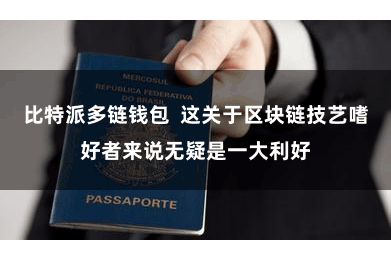 比特派多链钱包  这关于区块链技艺嗜好者来说无疑是一大利好