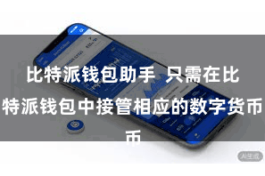 比特派钱包助手  只需在比特派钱包中接管相应的数字货币
