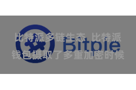 比特派多链生态  比特派钱包摄取了多重加密时候