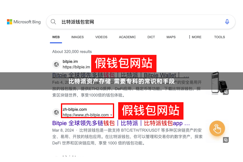 比特派资产存储  需要专科的常识和手段