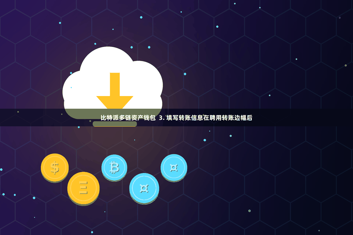 比特派多链资产钱包  3. 填写转账信息在聘用转账边幅后